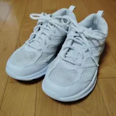 Item thumbnail for item 1a713a5b-7d27-47ab-8d6b-e236d6ef2320