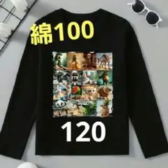 イタリアンブレインロット 120