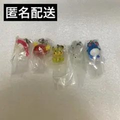 めじるしアクセサリー ポケモン 全種セット
