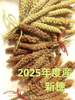 しずく様 リクエスト 2点 まとめ商品