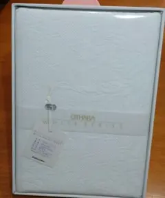 Item thumbnail for item fec3c8c5-3af8-4225-aab3-0f6b72e4df34