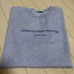 alexanderwang Tシャツ ラメ