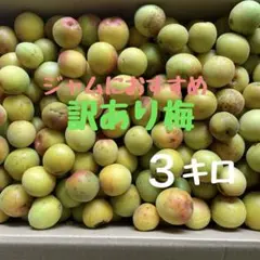 無農薬梅　ジャムにおすすめ　訳あり3キロのサムネイル