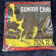 2026年最新】群馬クレインサンダーズ タオルの人気アイテム - メルカリ