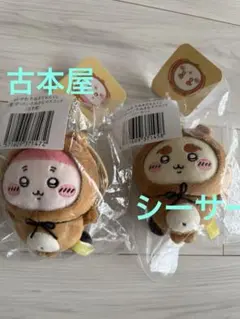 ちいかわたぬきだもんくじ　C賞　ぜったいたぬきなマスコット　古本屋・シーサー