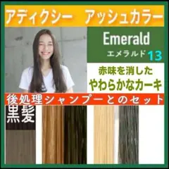 ミルボン アディクシー ⑬アッシュカーキとシャンプー【ブリーチとセット5%割引①