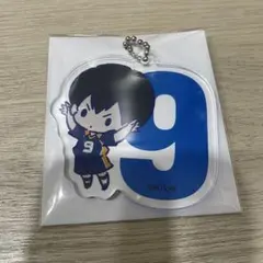 ハイキュー J-WORLD ミニアクリルスタンド イースター チャーム 影山 ハイキュー!! J-WORLD イースター ミニアクリルスタンド 影山飛雄