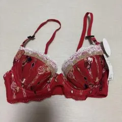 刺繍入りレッドブラジャー C65Triumph