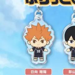 ハイキュー‼︎　ふらっとめじるしアクセサリー 日向翔陽