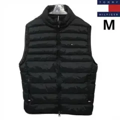 Item thumbnail for item 640ef42a-8ad0-449a-81be-6268d2cc4cff