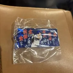 中日ドラゴンズ 選手キーホルダー 背番号5