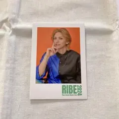 Item thumbnail for item b570dfb6-b381-453e-b892-524d0d52eb43