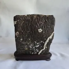 門司梅花石 鑑賞石 水石 自然石 二輪 門司梅花石 鑑賞石 水石 自然石 二輪 - メルカリ