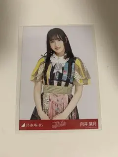 2026年最新】ごめんねfingers crossed生写真の人気アイテム - メルカリ