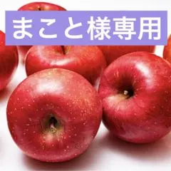 まこと様専用☆ハンドメイド メガネケース りんご柄