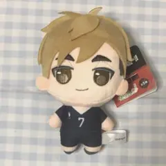 ハイキュー ぷちっしゅぬいぐるみ vol.2 宮侑