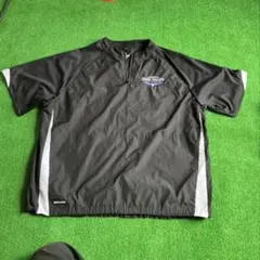 Item thumbnail for item 6d994e17-a3a9-464e-af22-a789c7c6bf36