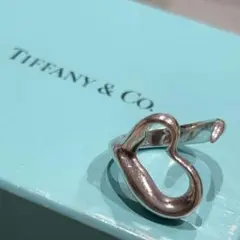 2026年最新】ティファニー ペレッティ リングの人気アイテム - メルカリ
