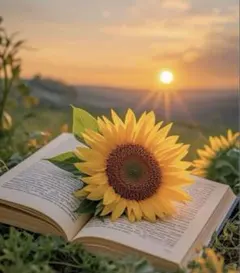 べる様:ハローキティ　ネイルシール 2枚セット