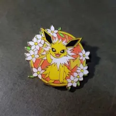 ポケモン サンダース ブイズ ピンバッジ ピンズ