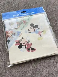 東京ディズニーリゾート ミッキー ミニー ウォッシュタオル