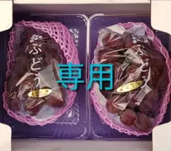 まりえ様専用ページです。