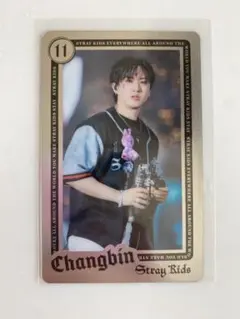 StrayKids チャンビン エコパ ライブフォトカード 事後販売 トレカ