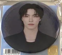 セブチ SEVENTEEN NEW 缶バッジ 缶バッチ ディノ