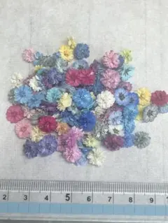 ハンドメイド　花材　ドライフラワー　マトリカリア　寒色系　20輪+α マトリカリア ドライフラワー 20輪＋a - メルカリ