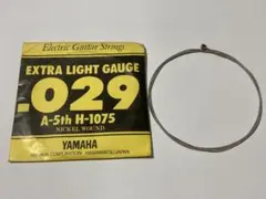 Item thumbnail for item 72525b5b-7691-447a-b9bd-5a03b3e24f50