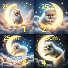 オーダー用パネル