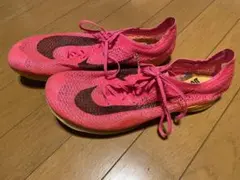 Item thumbnail for item c161fe7a-16a8-4ff4-985c-a454a52ee23a