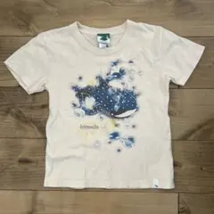 Item thumbnail for item 8a206ee5-bc65-49b1-b233-e23117b358c6