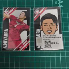 宮浦健人選手 タオル限定ステッカーセット 宮浦健人選手 タオル限定ステッカーセット 2025年最新】宮浦健人