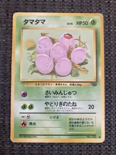 ポケモンカード タマタマ 旧裏面