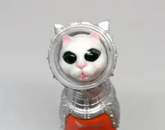 シップスキャット