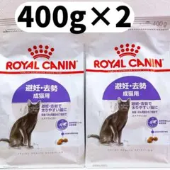 Item thumbnail for item 993be02d-b40a-4891-aba2-b9245ffa1506