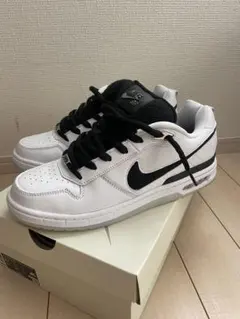 Nike SB P-ROD1 Retro ポールロドリゲス