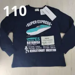 Item thumbnail for item 5e8db06a-89cc-42fa-a6f9-e39184515130