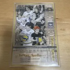 【新品未開封】Sportiva スポルティーバ ハイキュー!! アクリルスタンド