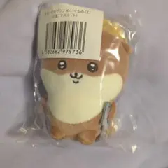 新品☆ナガノのカワウソぬいぐるみくじ