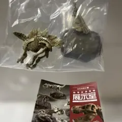 恐竜全身骨格展示室 ステゴサウルスナチュラルカラー