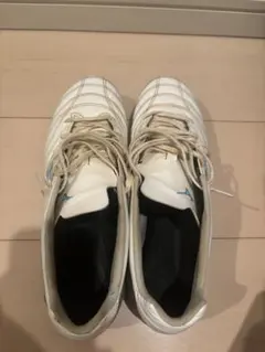 モナルシーダネオ3