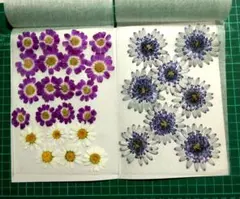 Item thumbnail for item 3261e985-ba48-43a4-9872-fa925f070c4e