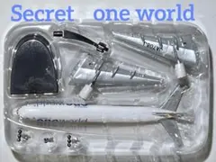 エフトイズ　ＪＡＬウイングコレクション４　シークレット【one world】