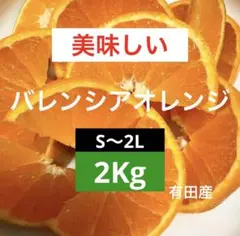 17)美味しい　有田産　バレンシアオレンジ　みかん　果物　家庭用のサムネイル