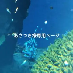 あさつき様専用ページ3点セット①合金シルバーイヤリング