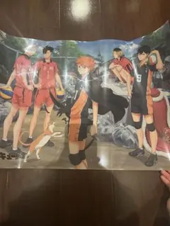 ハイキュー!! ゴミ捨て場の決戦 クリアポスター