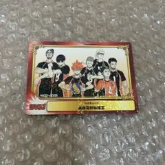 ハイキュー SHUEISHA COMIC FESTIVAL 烏野高校排球部