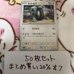 【大量・50枚】レイジングサーフ　sv3a